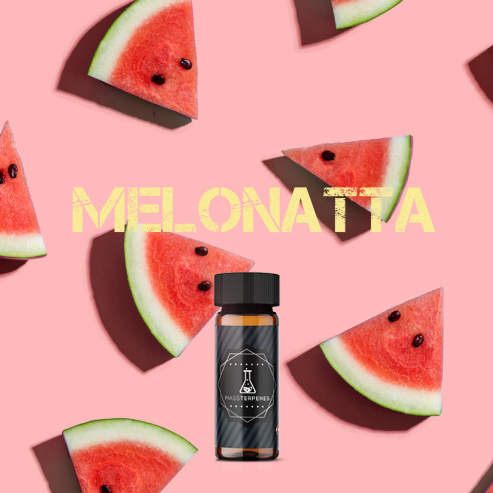 Melonatta Strain Profile Melon Flavored Terpenes
