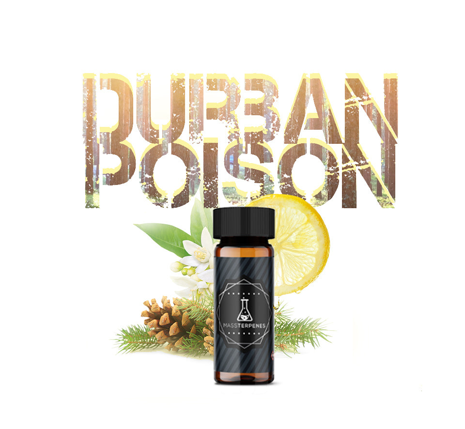 Durban Poison Terpenes (New - Full Spec)