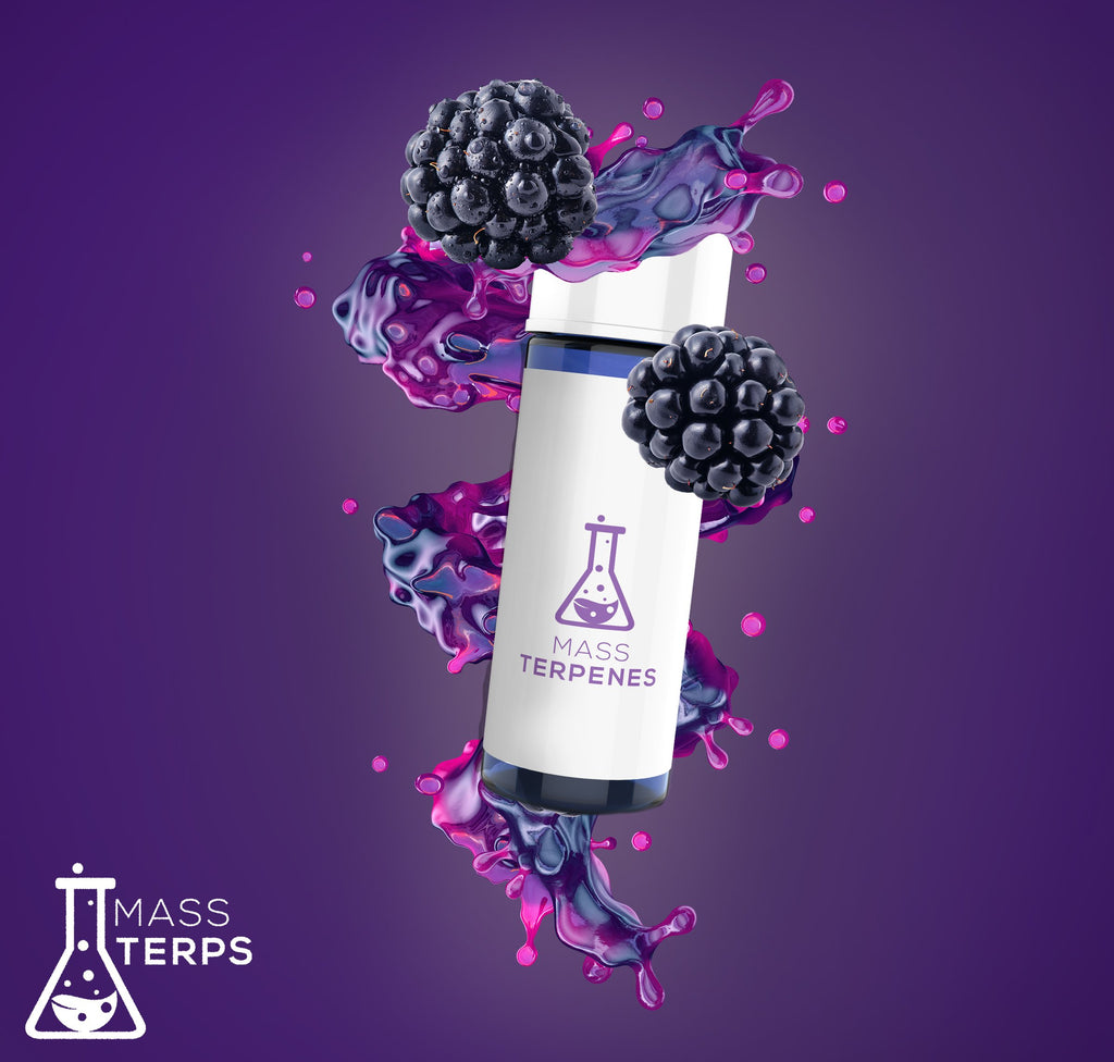 Blackberry Kush strain terpenes graphic with purple background