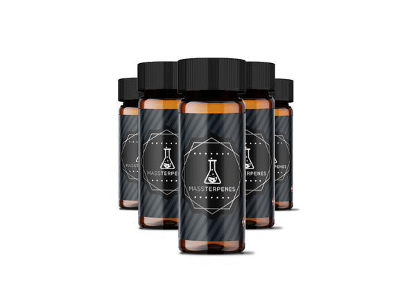 image_fc09631a-bcdf-4aee-8f54-