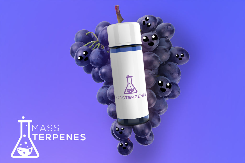Member Berries strain terpenes by Mass Terpenes