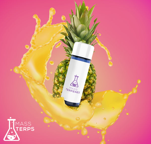 Pineapple Express Terpenes | Pineapple Express Terpene Profile