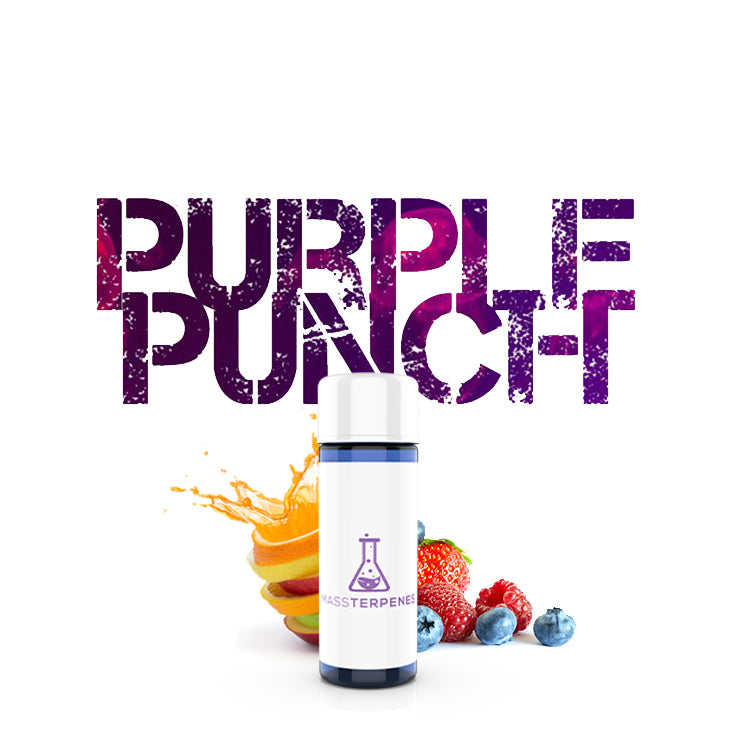 Purple Punch terpenes