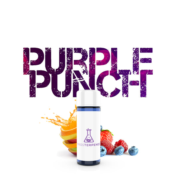 Shop Purple Punch Terpenes | Purple Punch Strain Profile